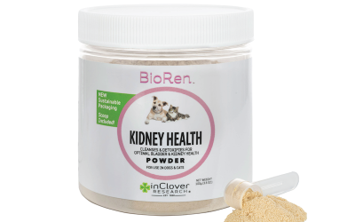 BioRen Kidney Health